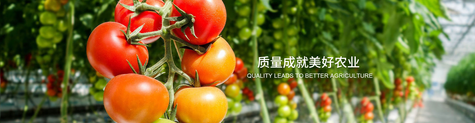 东升国际官网-相信品牌力量