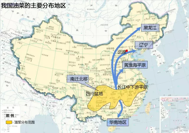 东升国际官网-相信品牌力量