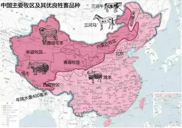 东升国际官网-相信品牌力量