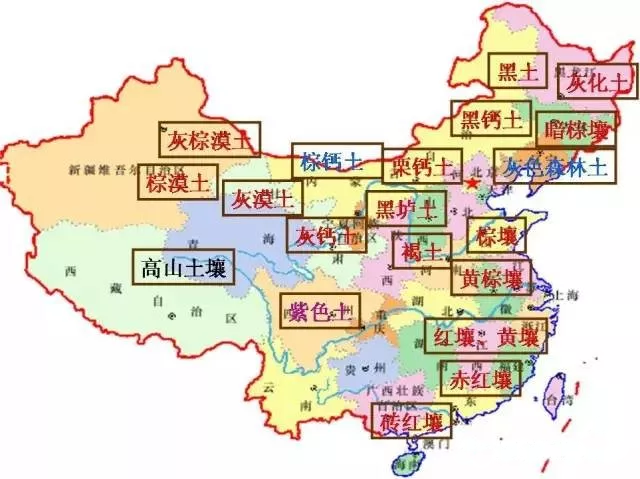 东升国际官网-相信品牌力量