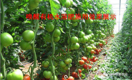 东升国际官网-相信品牌力量