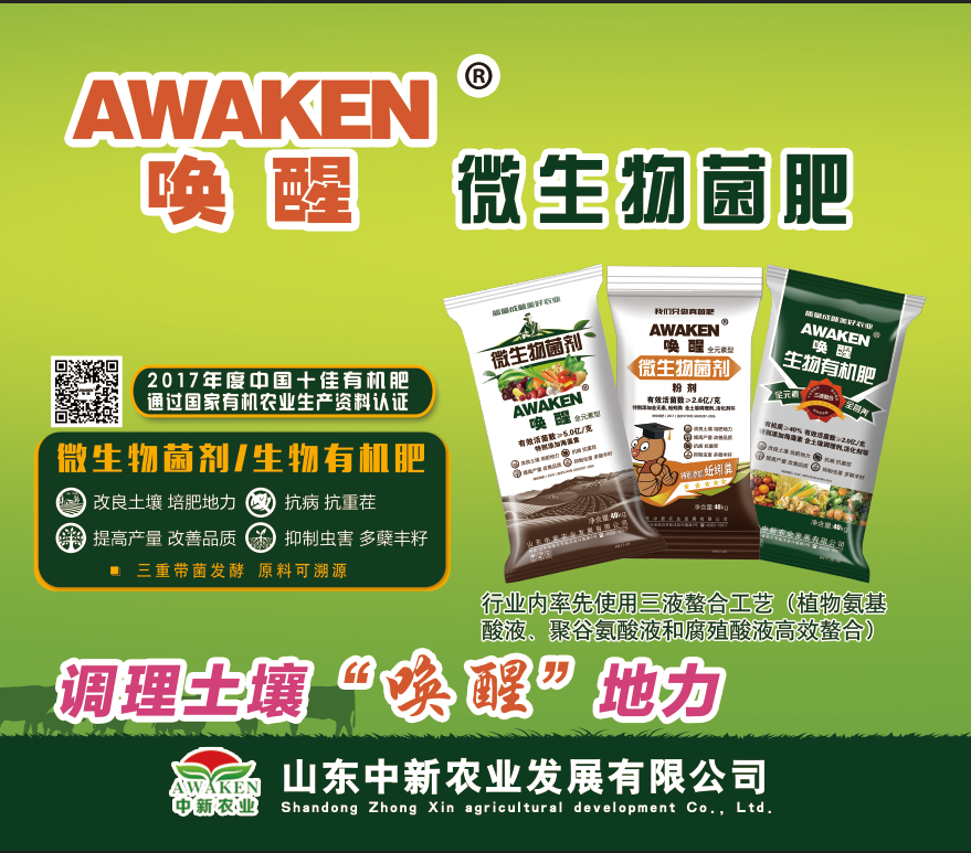 东升国际官网-相信品牌力量