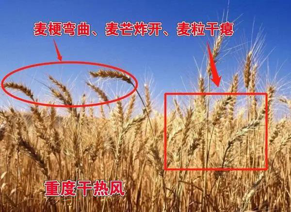 东升国际官网-相信品牌力量