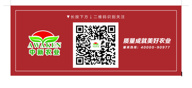 东升国际官网-相信品牌力量