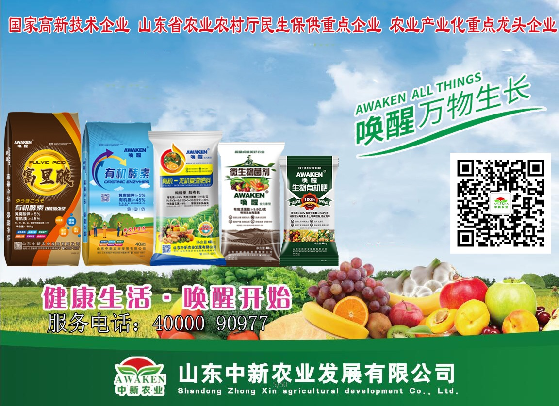 东升国际官网-相信品牌力量