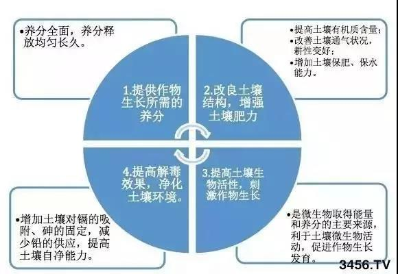 东升国际官网-相信品牌力量
