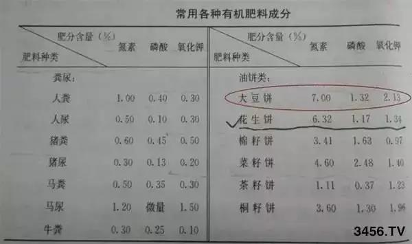 东升国际官网-相信品牌力量
