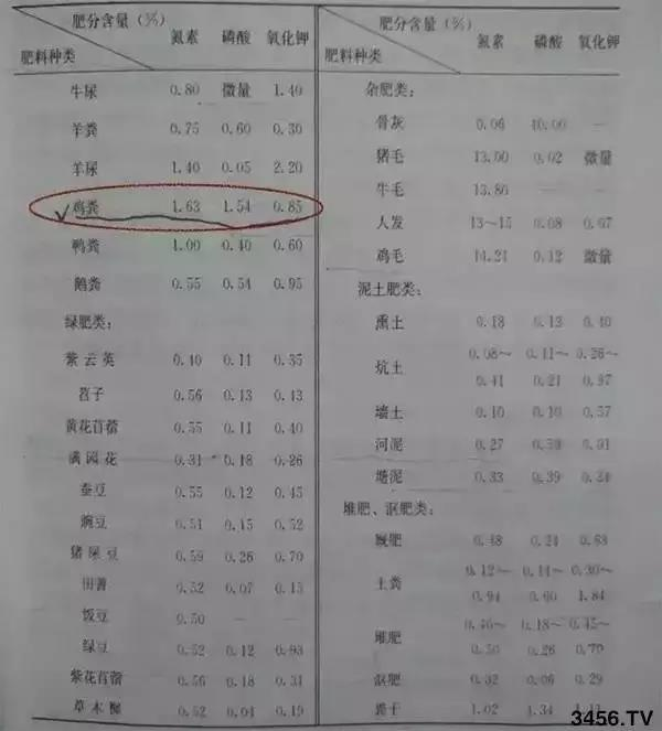 东升国际官网-相信品牌力量