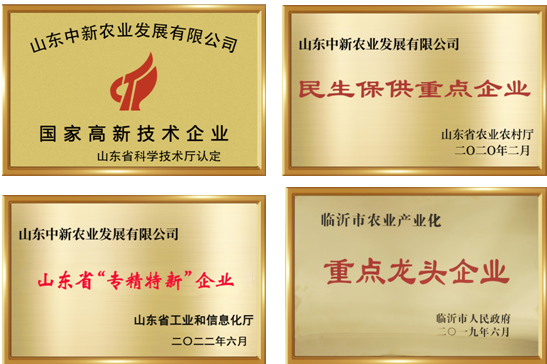 东升国际官网-相信品牌力量