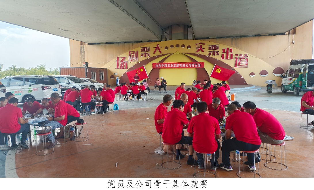 东升国际官网-相信品牌力量