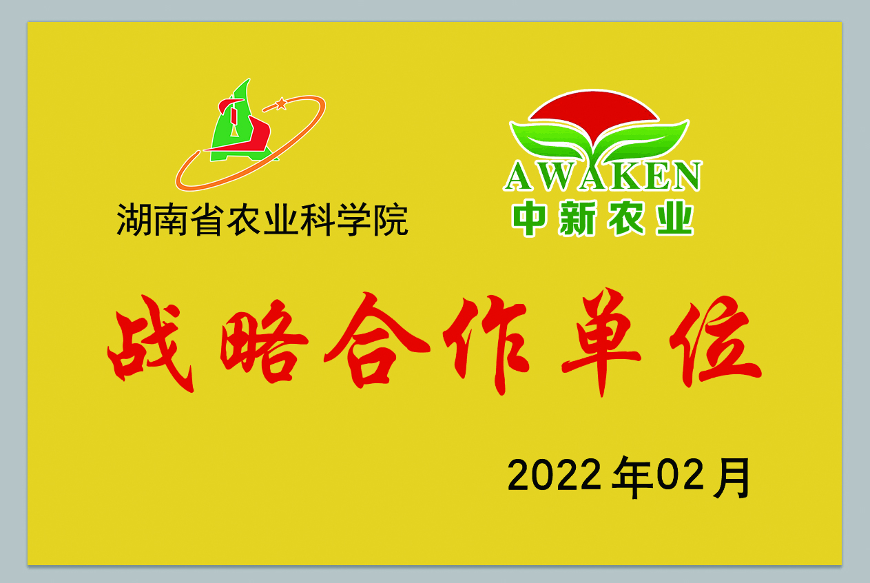 东升国际官网-相信品牌力量