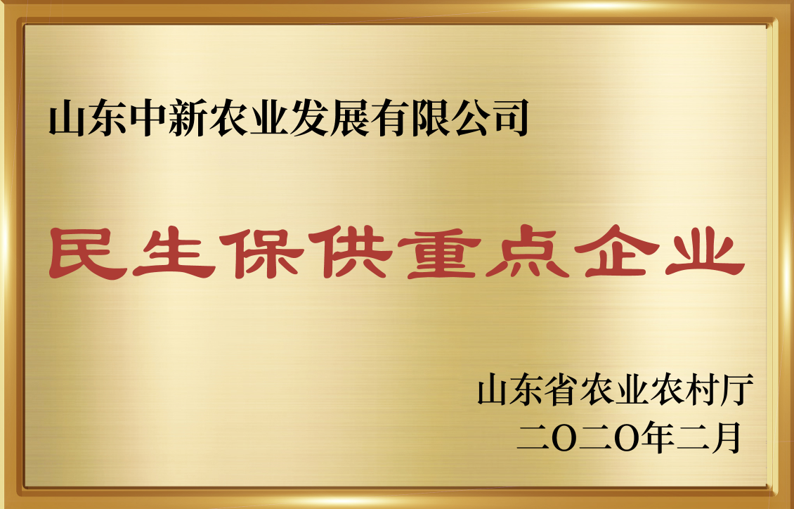 东升国际官网-相信品牌力量