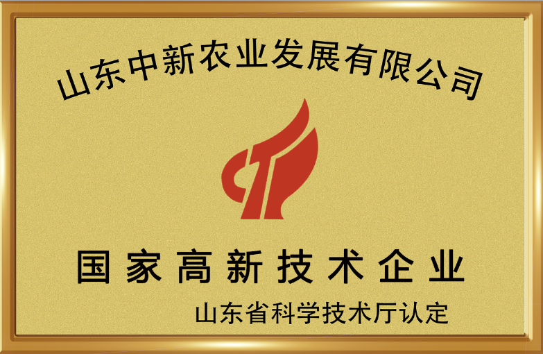 东升国际官网-相信品牌力量