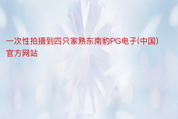 一次性拍摄到四只家熟东南豹PG电子(中国)官方网站